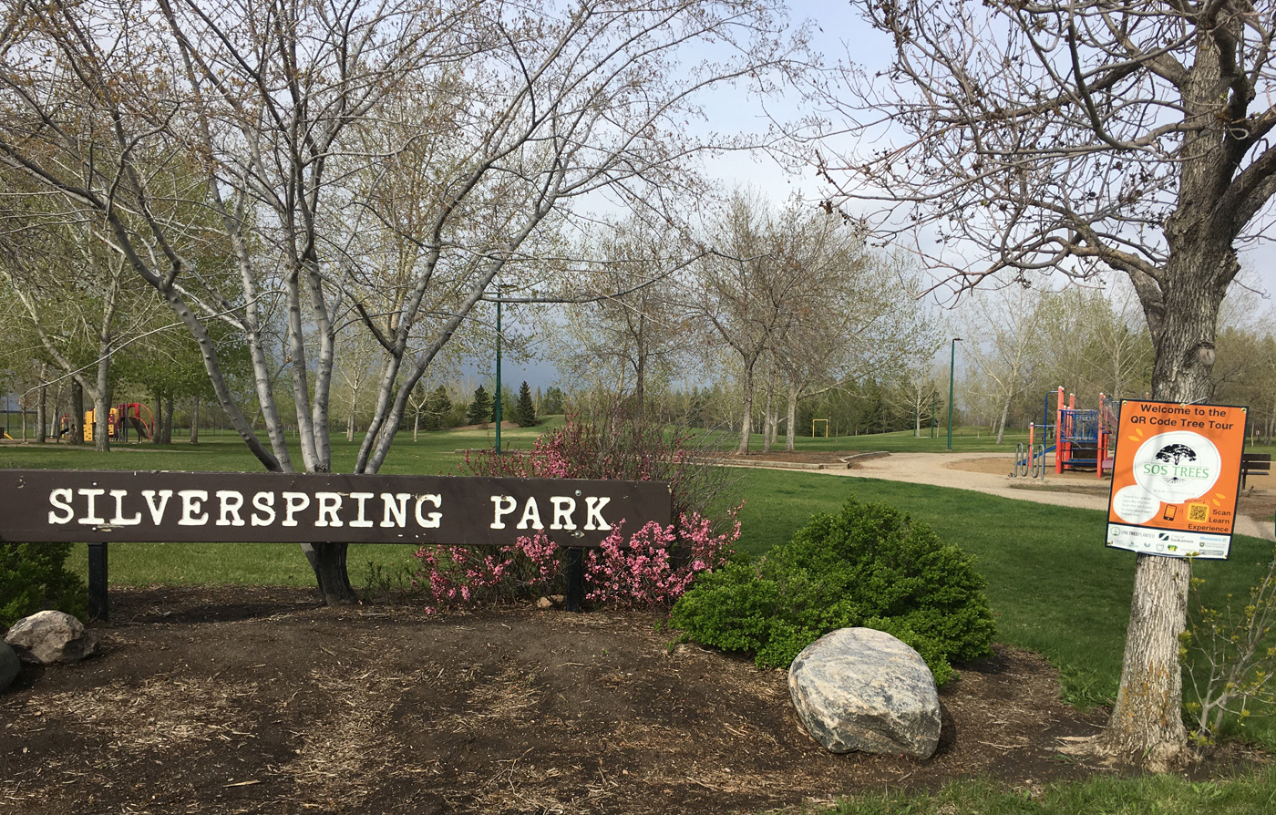 Silverspring Park