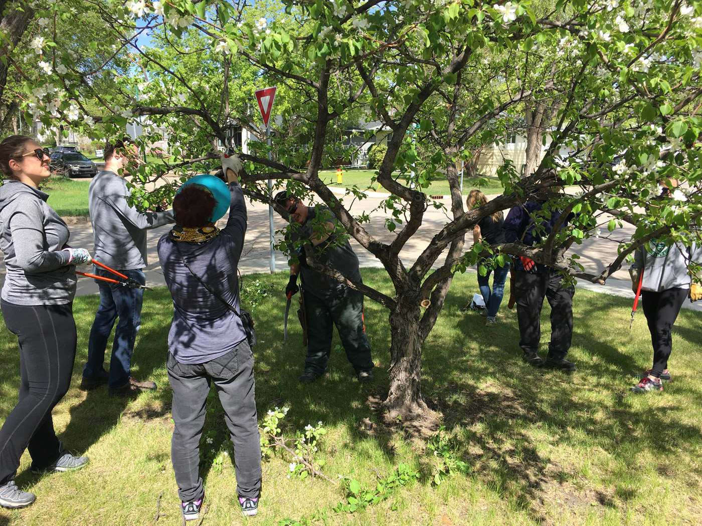 Arbour Crest workshop