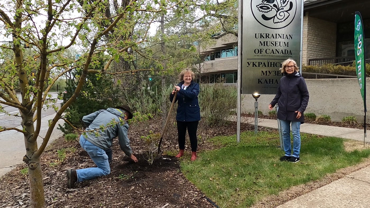 Tree Planting Ceremony at Ukrainian Musuem