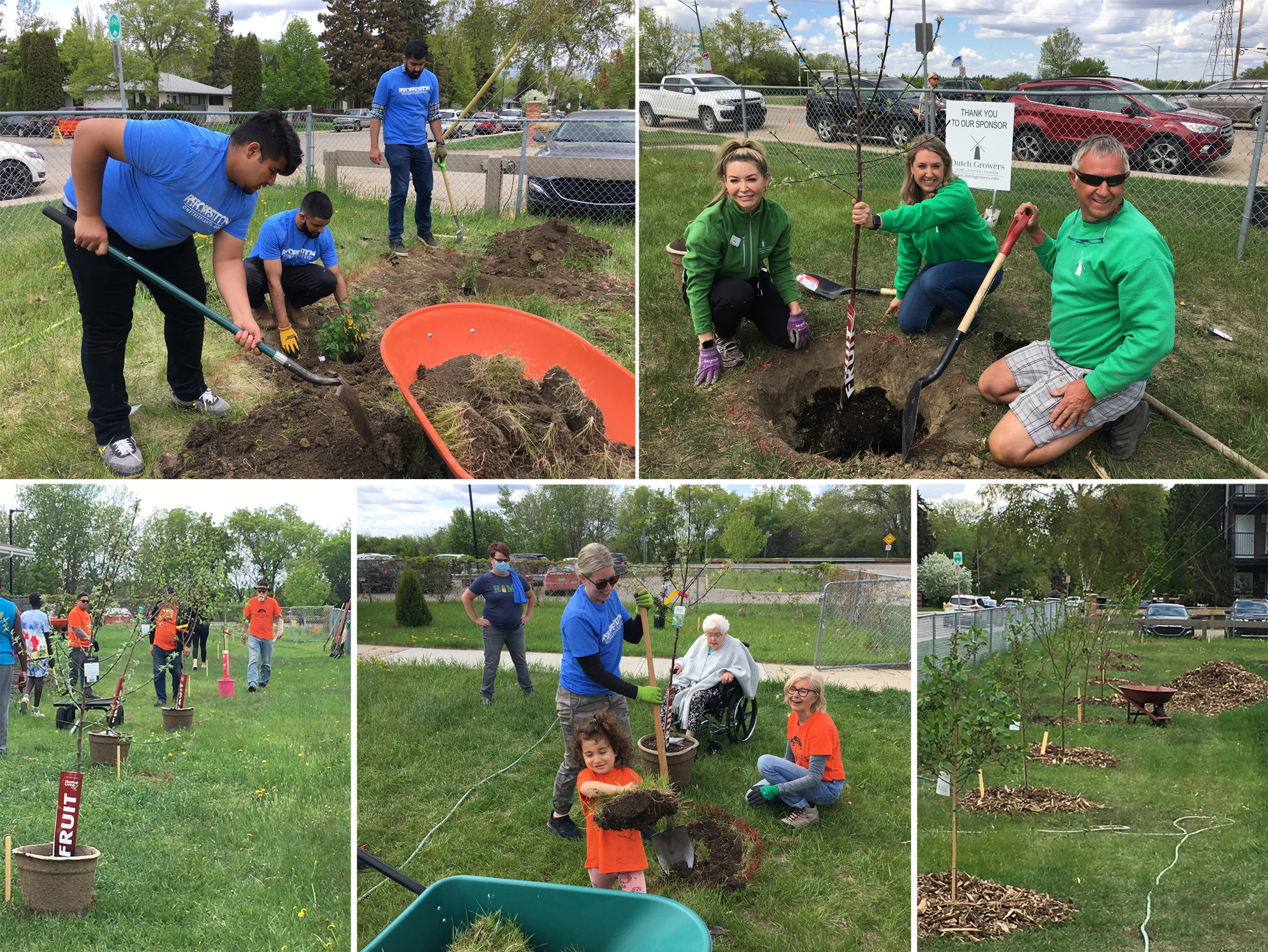 Tree Planters