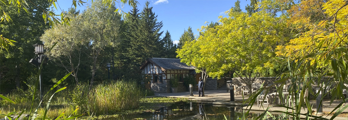 Innovation Place