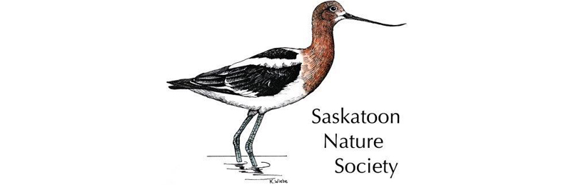 Saskatoon Nature Society