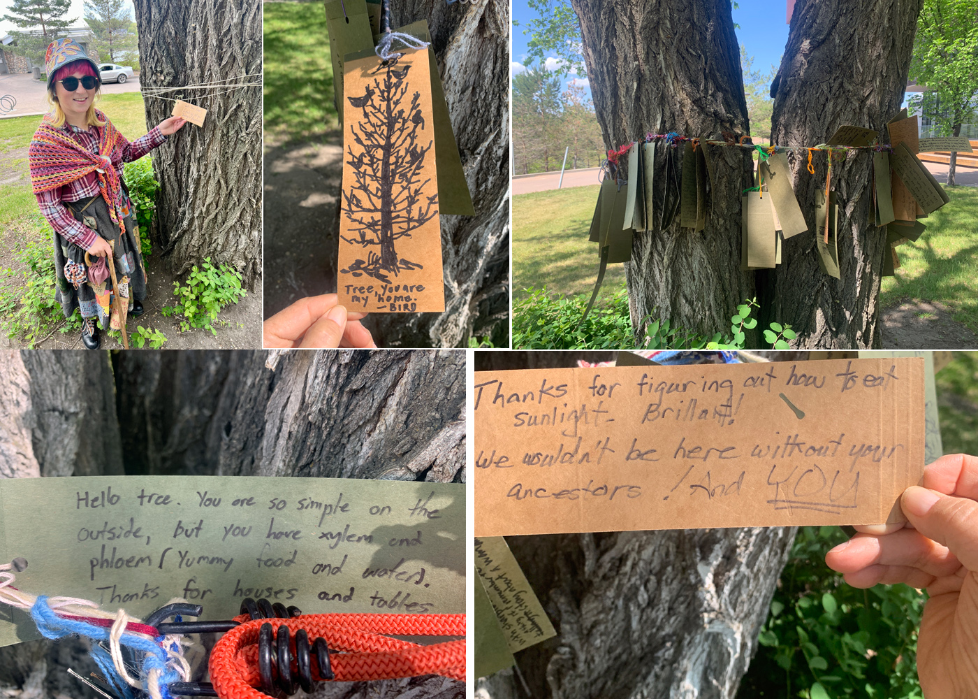Tree Talk event 2024