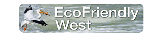 EcoFriendly West
