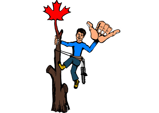 Hang Loose Yard & Trees Services