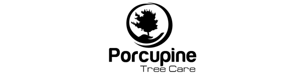 Porcupine Tree Care