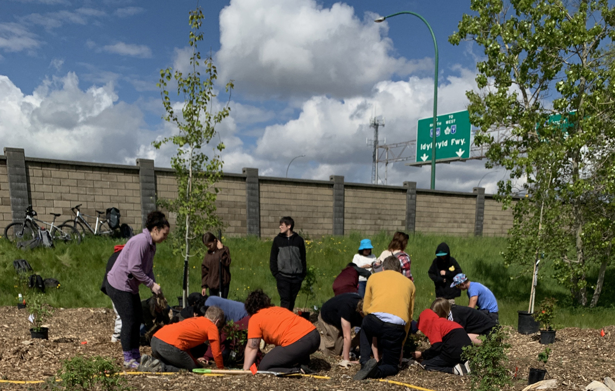 tree planters 2024